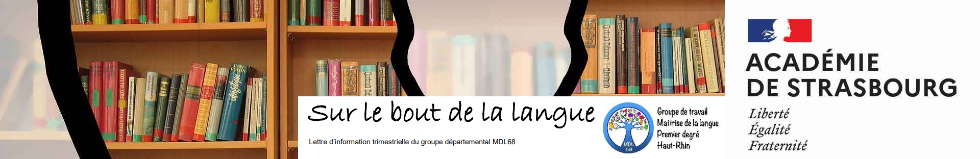 Maîtrise de la langue
